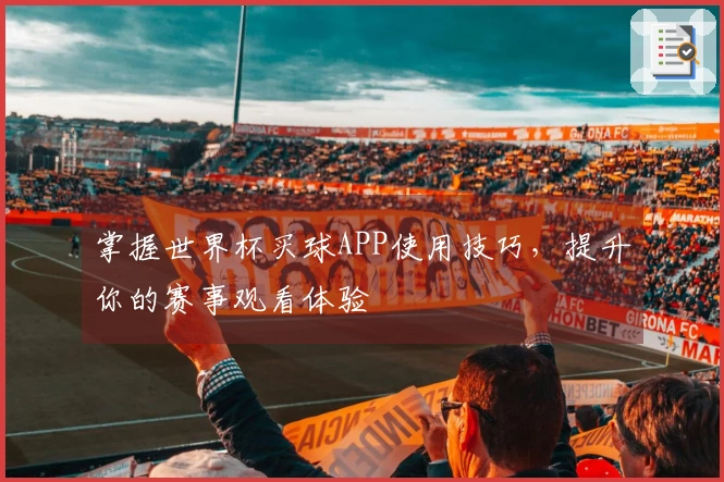 掌握世界杯买球APP使用技巧，提升你的赛事观看体验