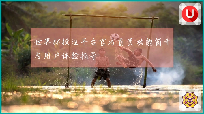 世界杯投注平台官方首页功能简介与用户体验指导