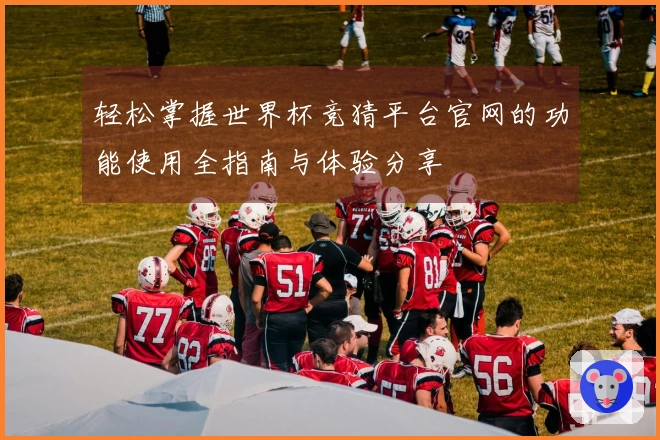 轻松掌握世界杯竞猜平台官网的功能使用全指南与体验分享
