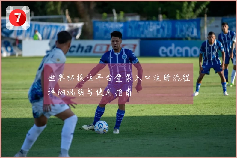 世界杯投注平台登录入口注册流程详细说明与使用指南
