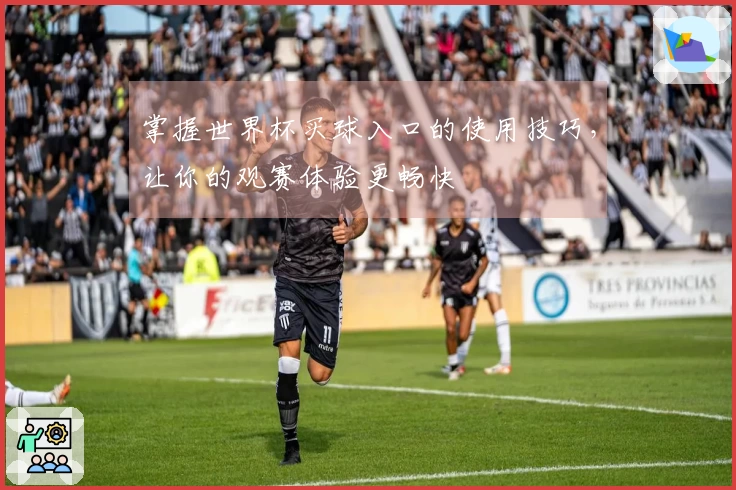 掌握世界杯买球入口的使用技巧，让你的观赛体验更畅快