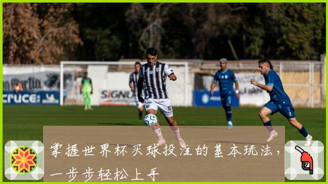 掌握世界杯买球投注的基本玩法，一步步轻松上手