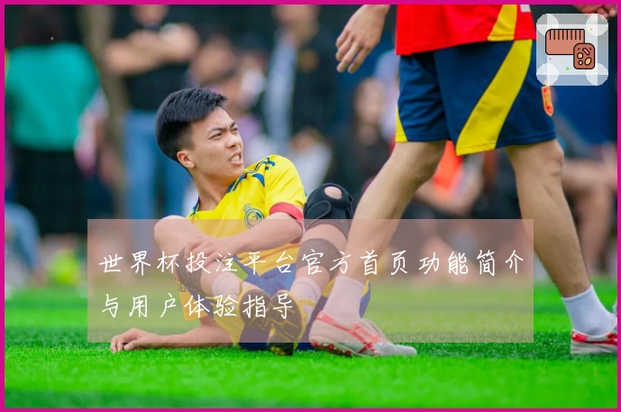世界杯投注平台官方首页功能简介与用户体验指导