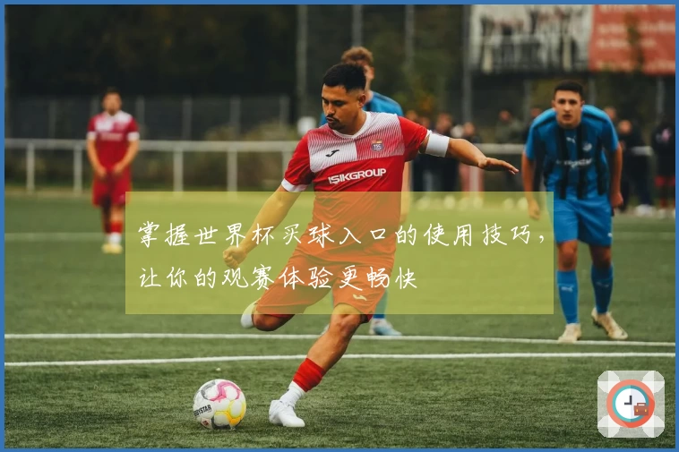 掌握世界杯买球入口的使用技巧，让你的观赛体验更畅快