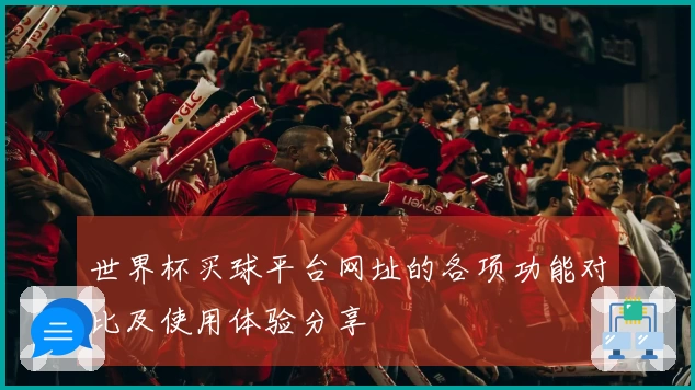 世界杯买球平台网址的各项功能对比及使用体验分享