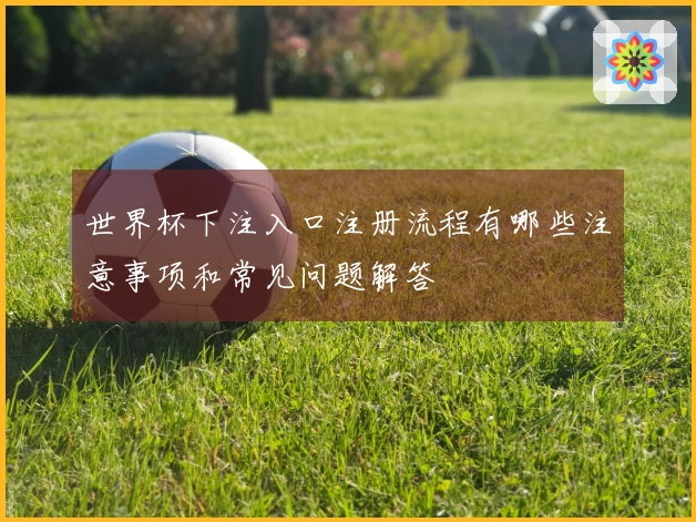 世界杯下注入口注册流程有哪些注意事项和常见问题解答