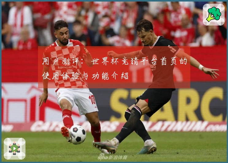 用户测评：世界杯竞猜平台首页的使用体验与功能介绍
