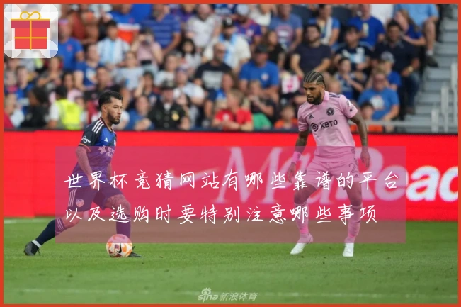 世界杯竞猜网站有哪些靠谱的平台以及选购时要特别注意哪些事项
