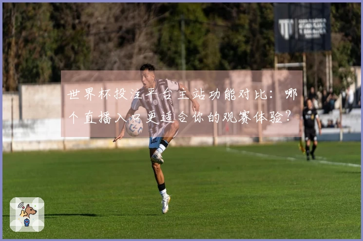 世界杯投注平台主站功能对比：哪个直播入口更适合你的观赛体验？