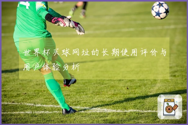 世界杯买球网址的长期使用评价与用户体验分析