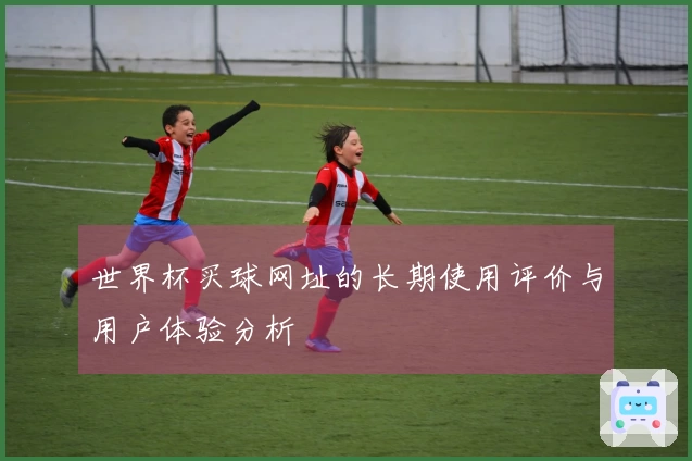 世界杯买球网址的长期使用评价与用户体验分析