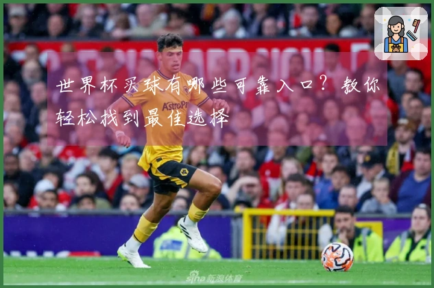 世界杯买球有哪些可靠入口？教你轻松找到最佳选择