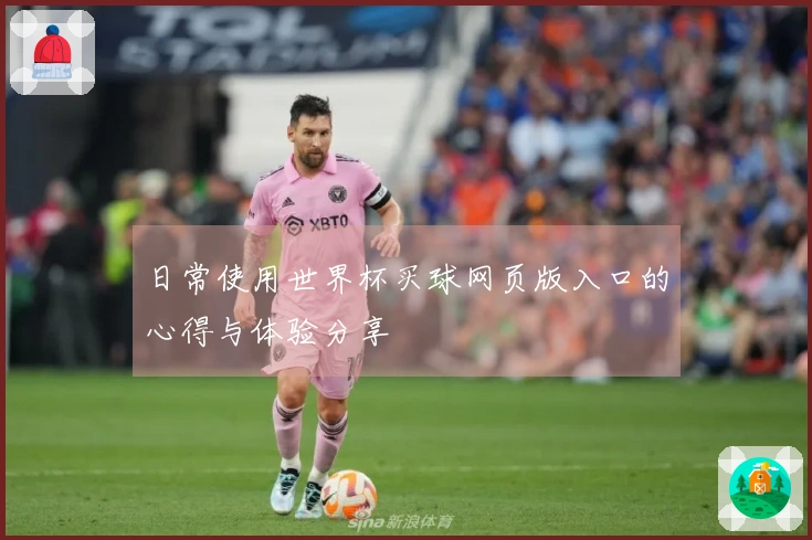 日常使用世界杯买球网页版入口的心得与体验分享