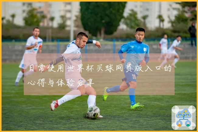 日常使用世界杯买球网页版入口的心得与体验分享