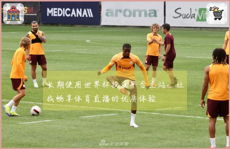 长期使用世界杯投注平台主站,让我畅享体育直播的优质体验