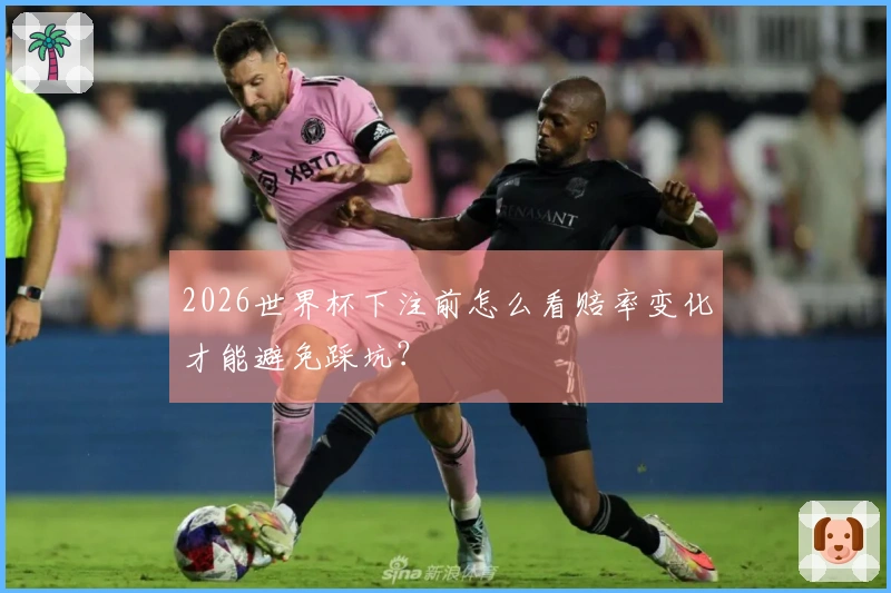 2026世界杯下注前怎么看赔率变化才能避免踩坑？