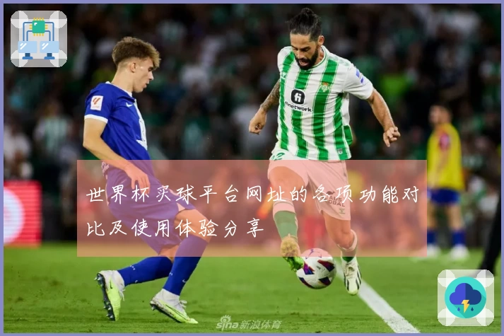 世界杯买球平台网址的各项功能对比及使用体验分享